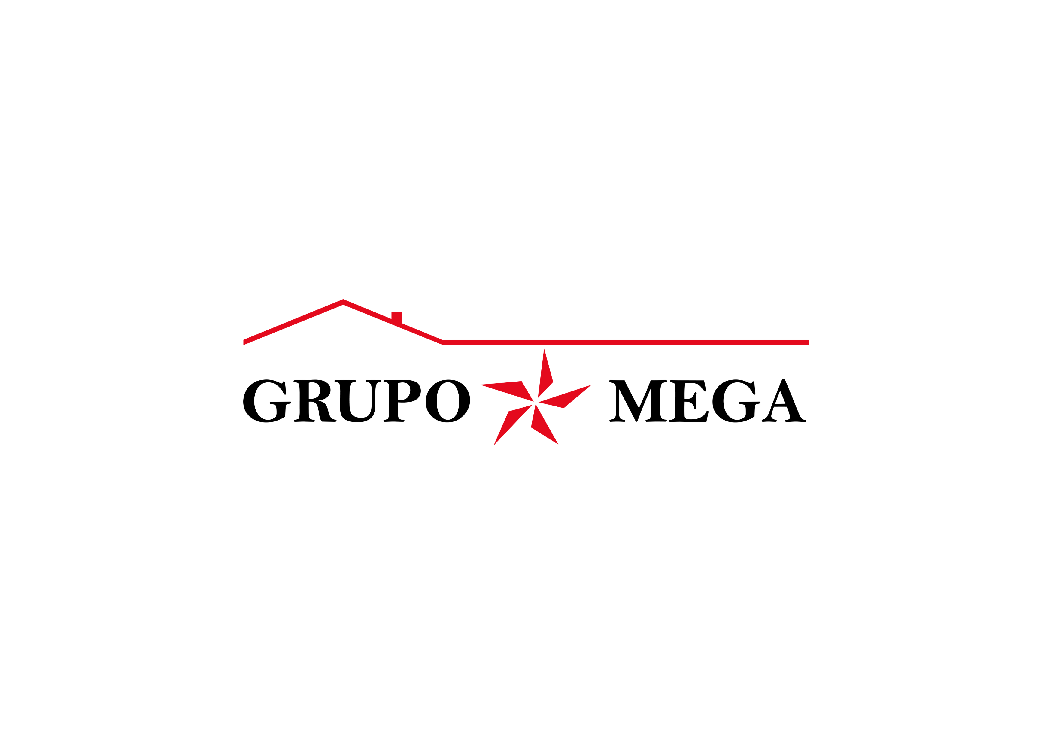 Grupo Mega